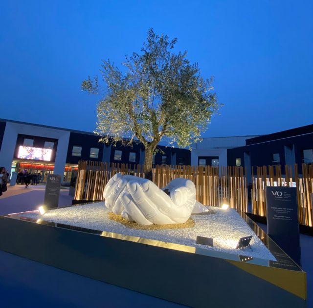 cenzi dubai 3